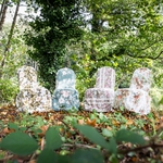 Image credit Fitzgerald Photographic