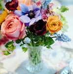 Image credit Sarah Williams Photography